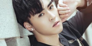 <?php the_title(); ?>