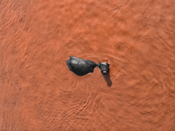 DJI大疆天空之城10周年影像大赛获奖作品公布