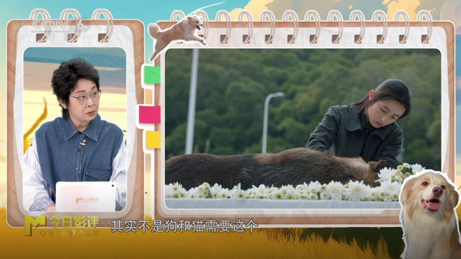 《我会好好的》:张子枫体验生命告别的“必修课”