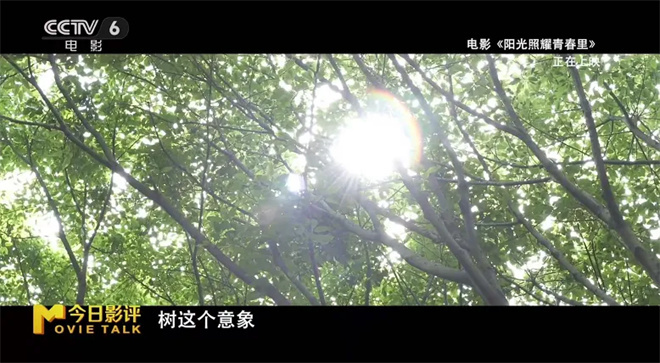 如果全世界都觉得你“有病” 你会如何自证清白？