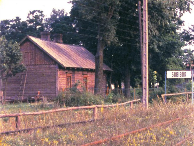 第15届北影节展映|电影与和平：光影铭刻战争之殇