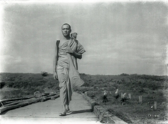 第15届北影节展映|电影与和平：光影铭刻战争之殇