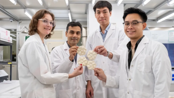 工程师模仿大象皮肤发明新型冷却砖  可以代替空调？