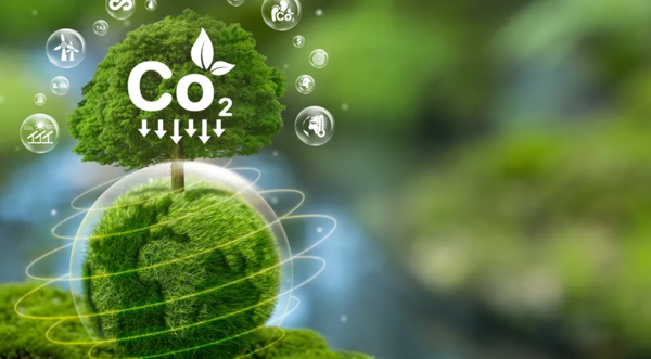 科学家研发&ldquo;活体材料&rdquo; 可高效吸收空气中的二氧化碳