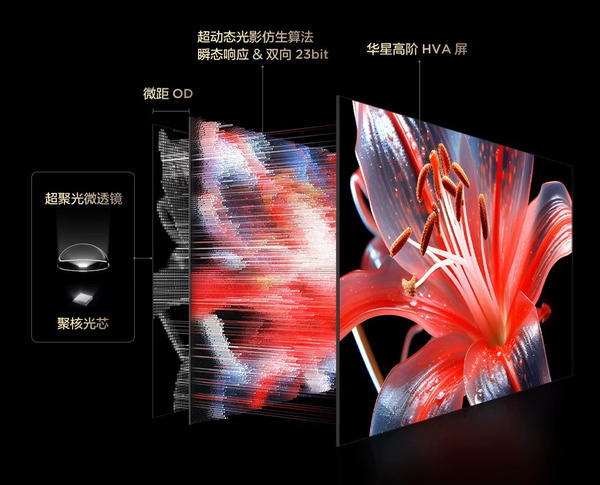 当TCL遇上女篮亚洲杯，&ldquo;全球第一&rdquo; 背后藏着多少绝杀狠招？