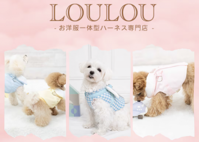 自己写企划自己跑案子⋯小島みなみ(小岛南)创业当社长了！