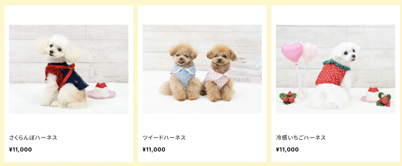 自己写企划自己跑案子⋯小島みなみ(小岛南)创业当社长了！