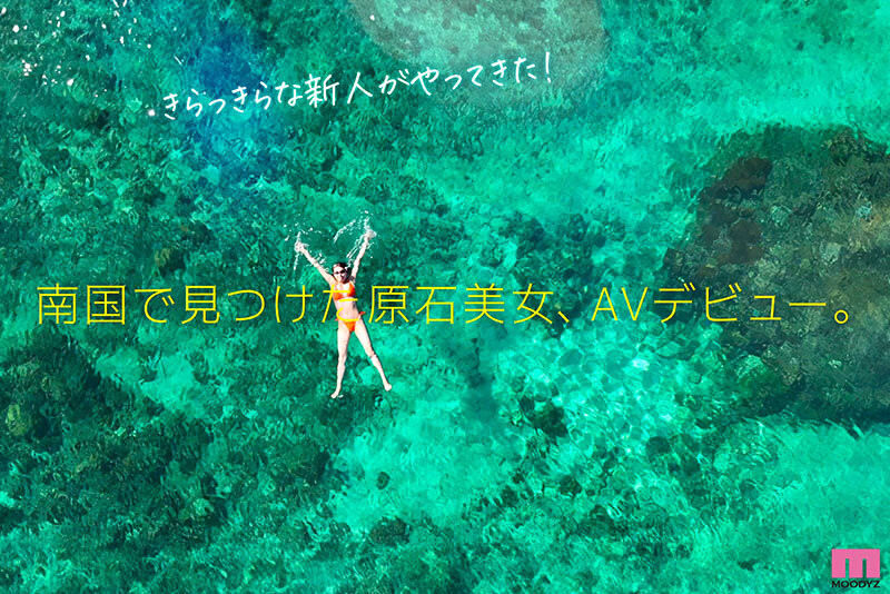 七海那美出道作品番号及封面，七海那美个人简介