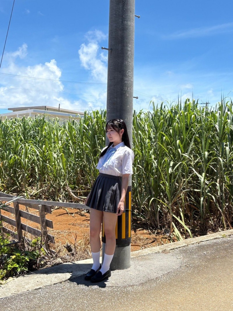 8月12日情报解禁！S1的新大物亮相！