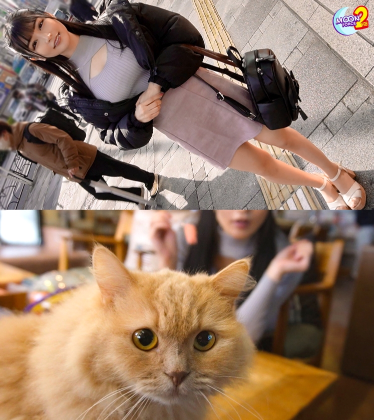 【nima00022】漫画还原丝袜美腿橘メアリー