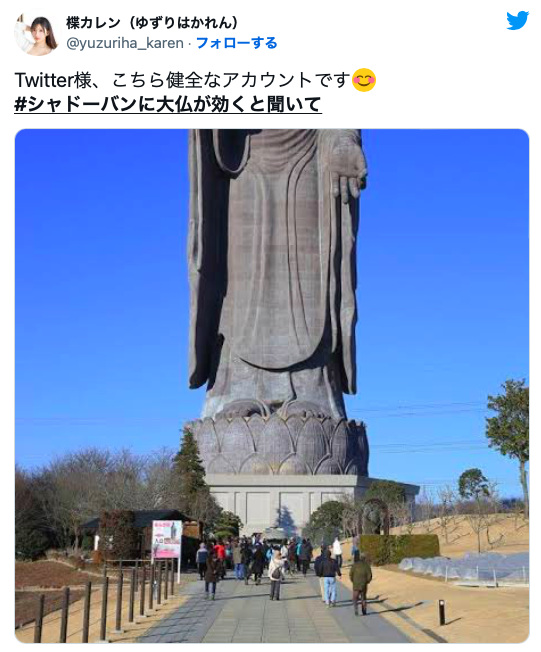 突破twitter封锁！来看女优们的大佛普拉斯！