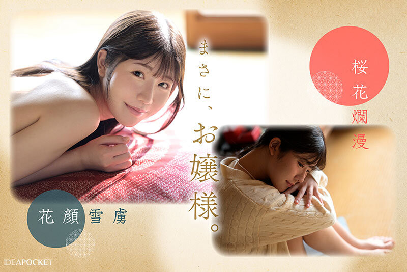 坂井美桜(坂井美樱)出道作品IPZZ-731发布！出身上流却很下流！IP社四大新人的第三位是H罩杯的疗癒女神！