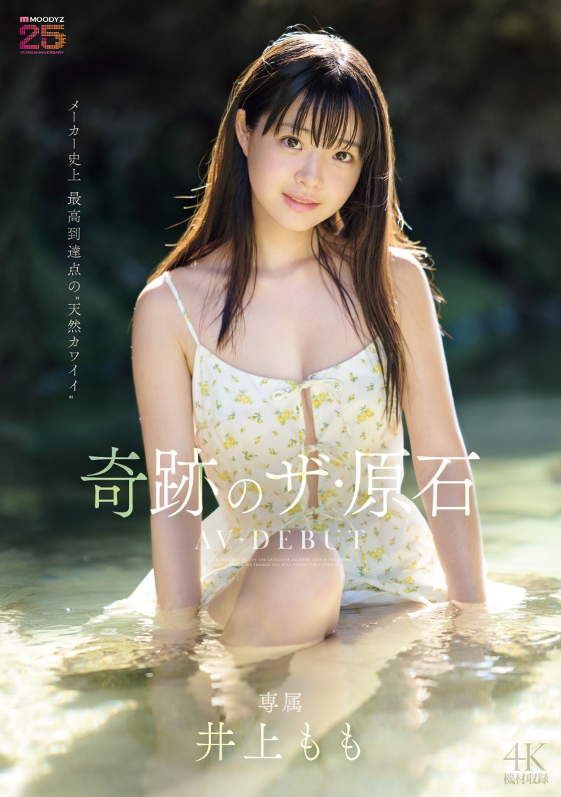 井上桃(井上もも)出道作品番号及封面，井上桃个人简介