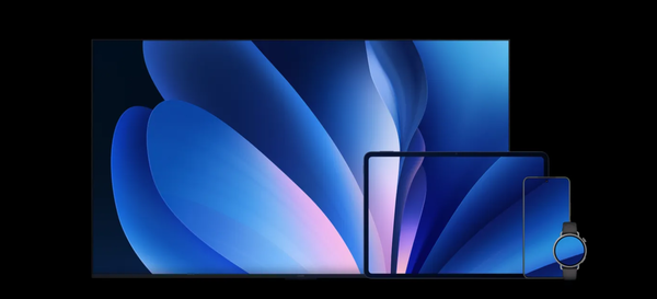 小米荣耀OPPO纷纷入局NAS 数据存储已成行业新战场